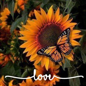 Meet your Posher, Robbie